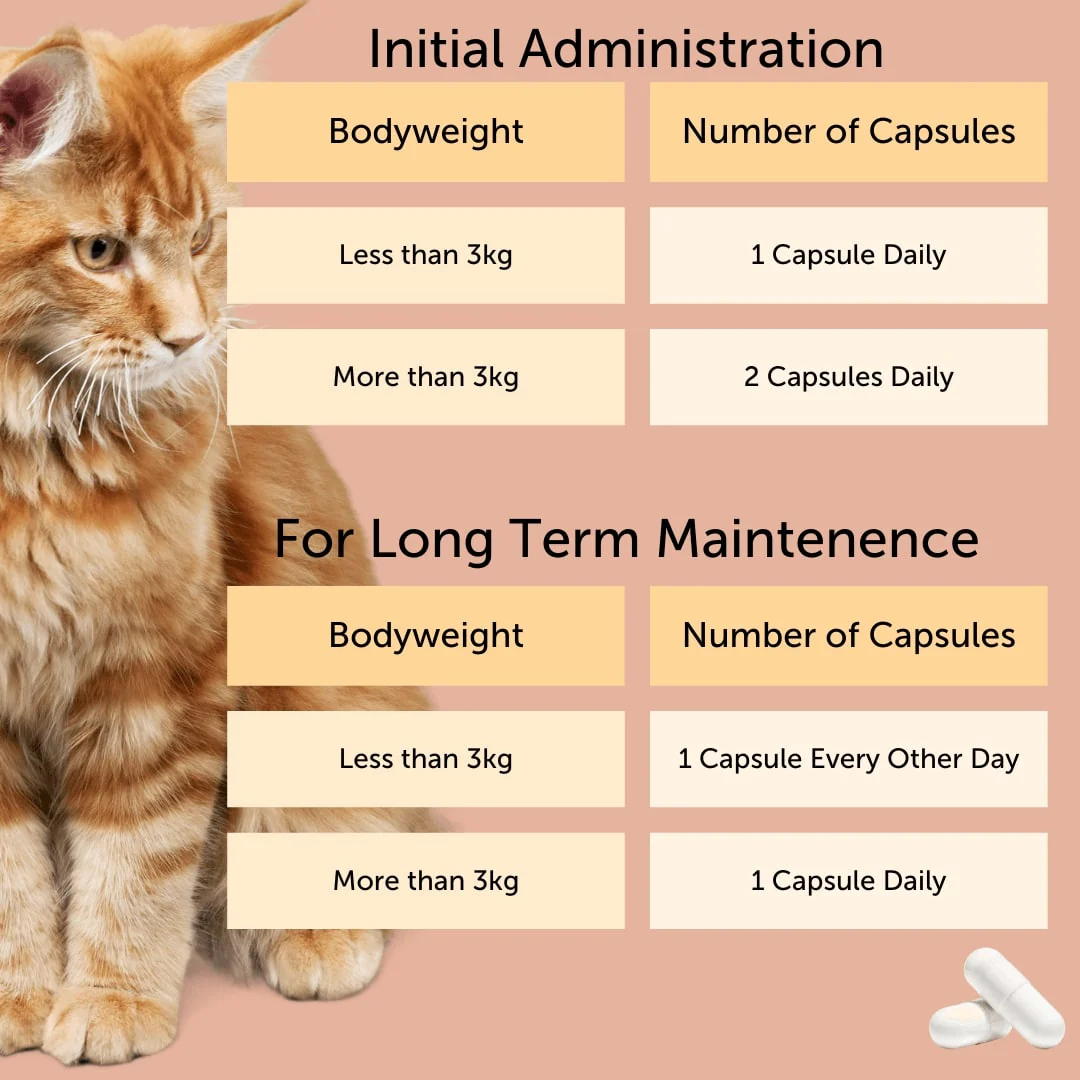 FELIWAY Cystease - Image 5