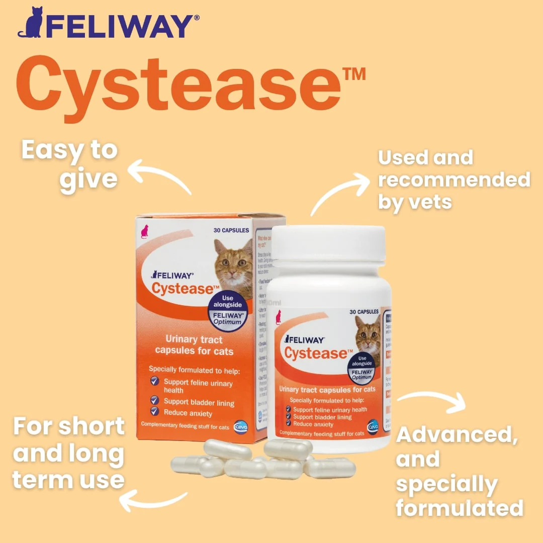 FELIWAY Cystease - Image 6