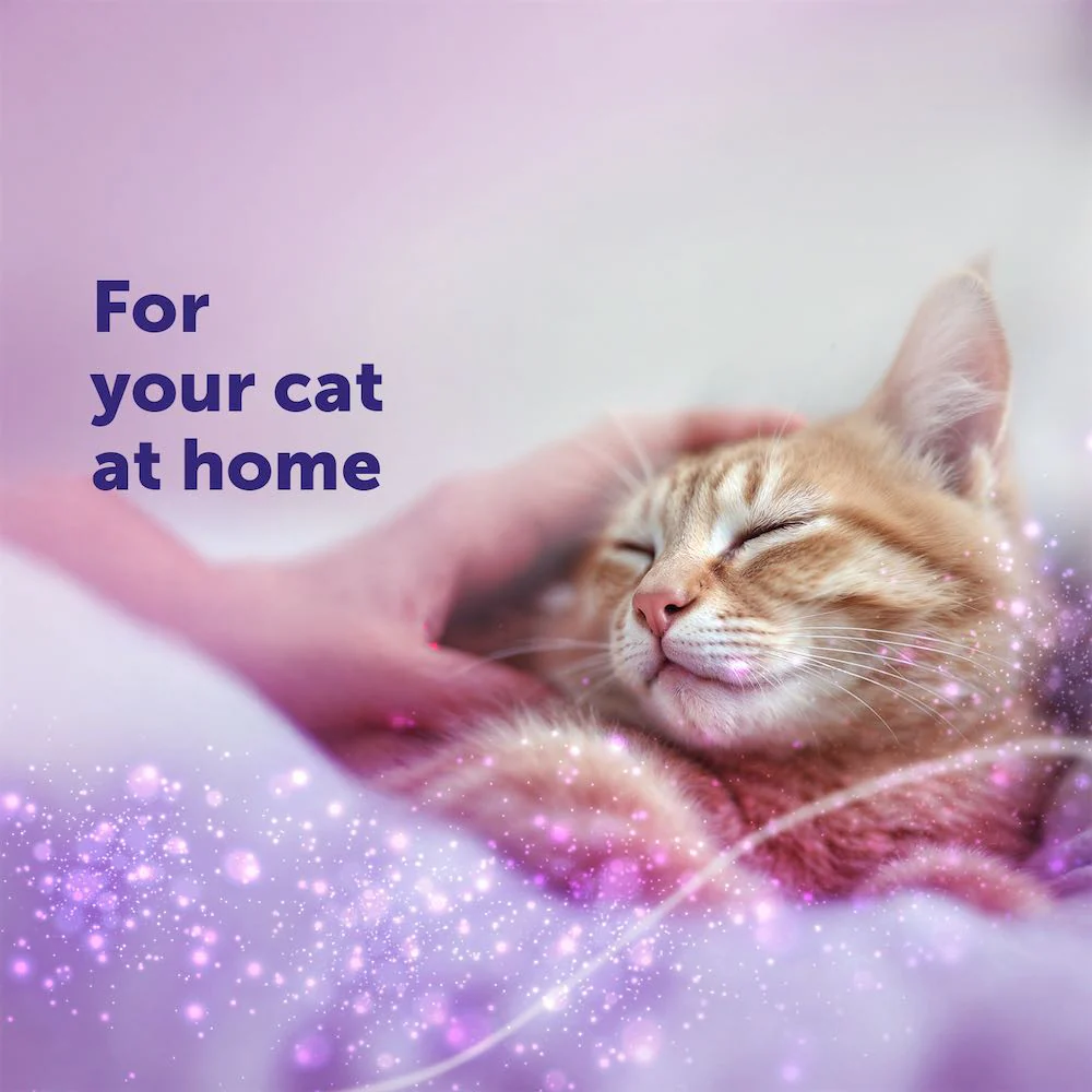 FELIWAY Classic Diffuser - Image 3