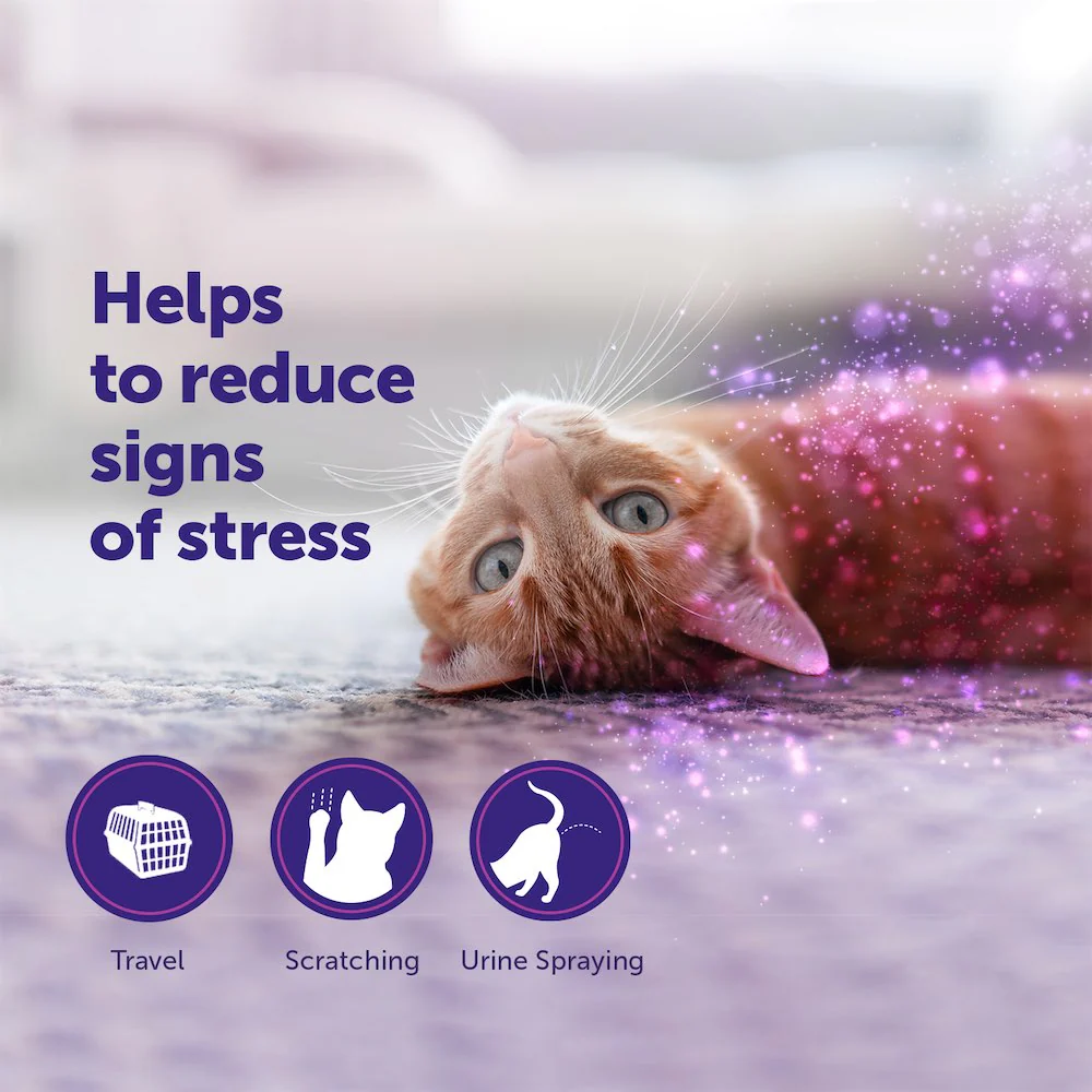 FELIWAY Classic Spray - Image 4