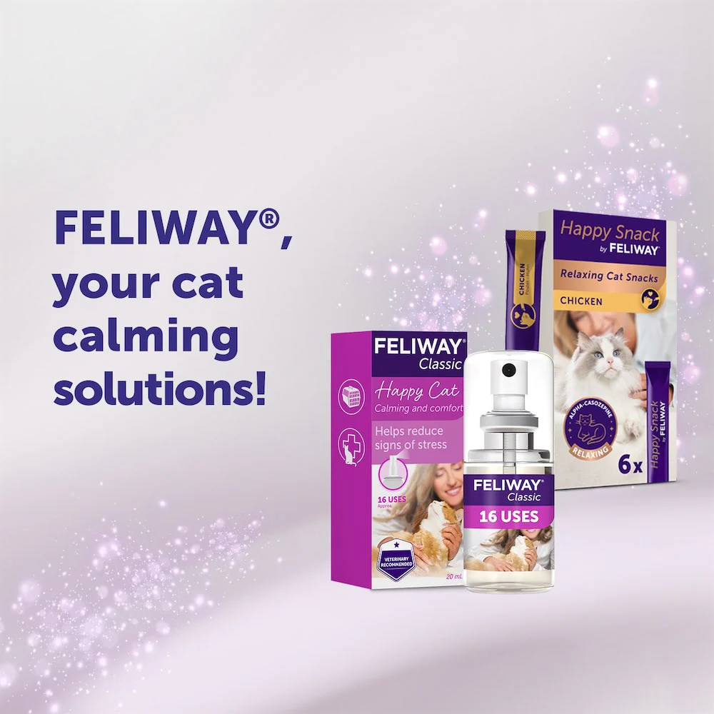 FELIWAY Classic Spray - Image 8