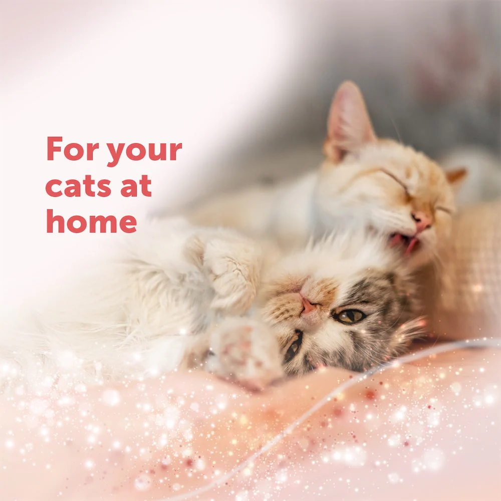 FELIWAY Friends Refill - Image 12