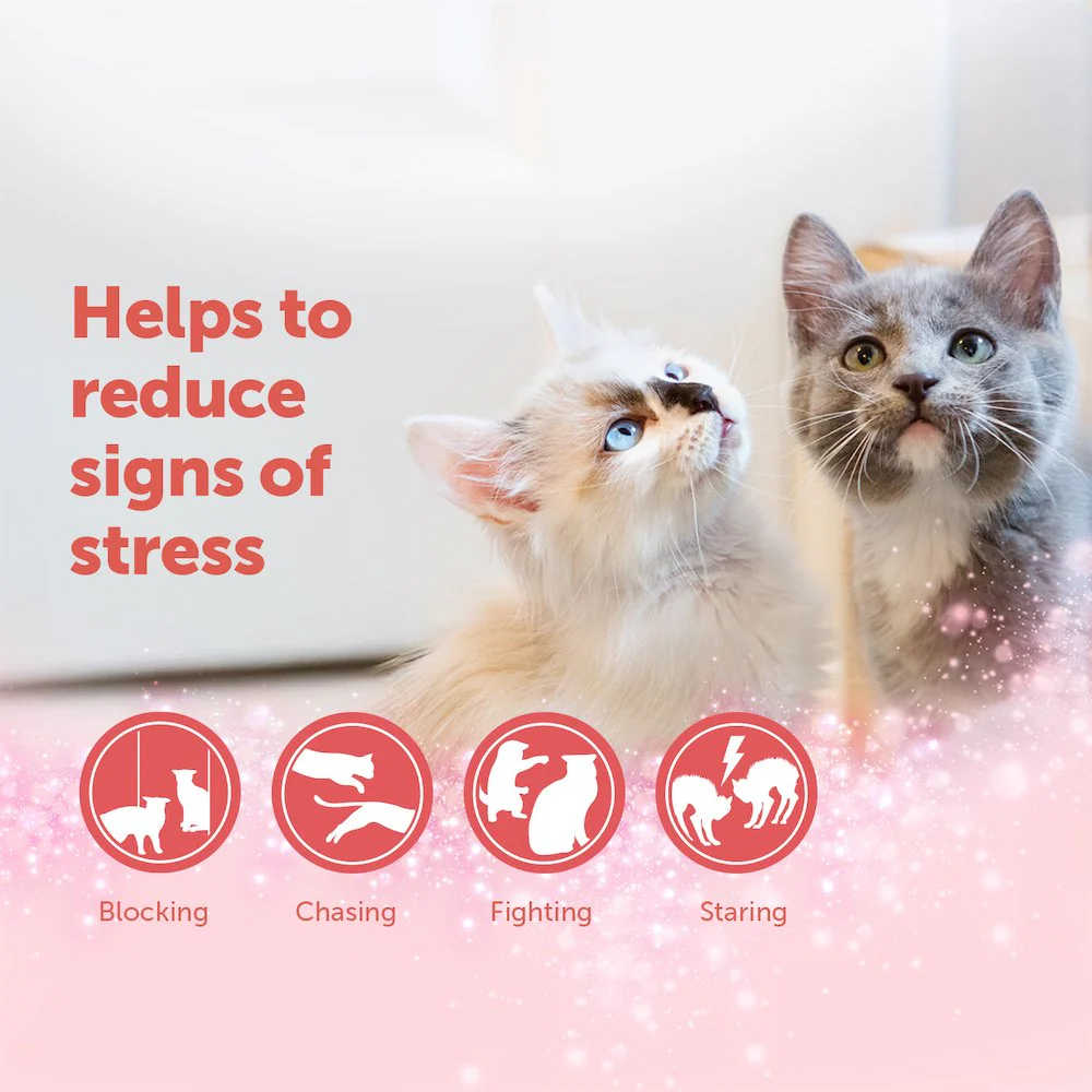 FELIWAY Friends Refill - Image 4