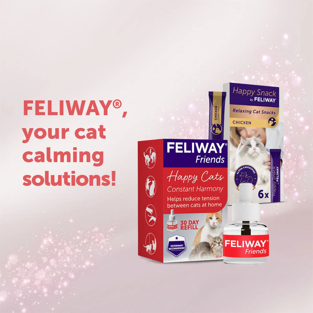 FELIWAY Friends Refill - Image 9