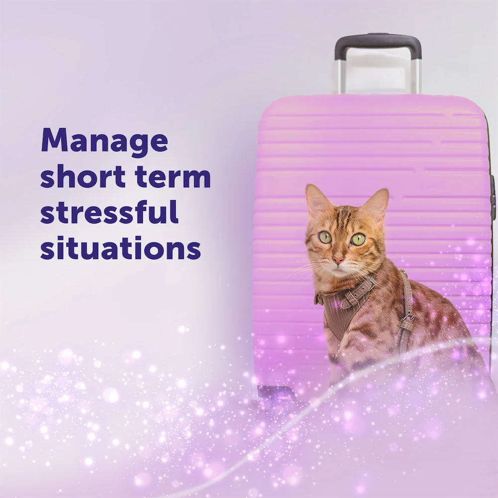 FELIWAY Help! - Image 3