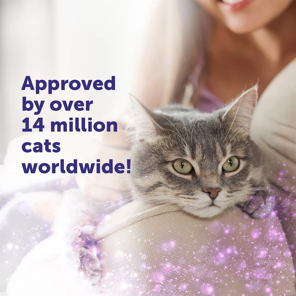 FELIWAY Help! - Image 7