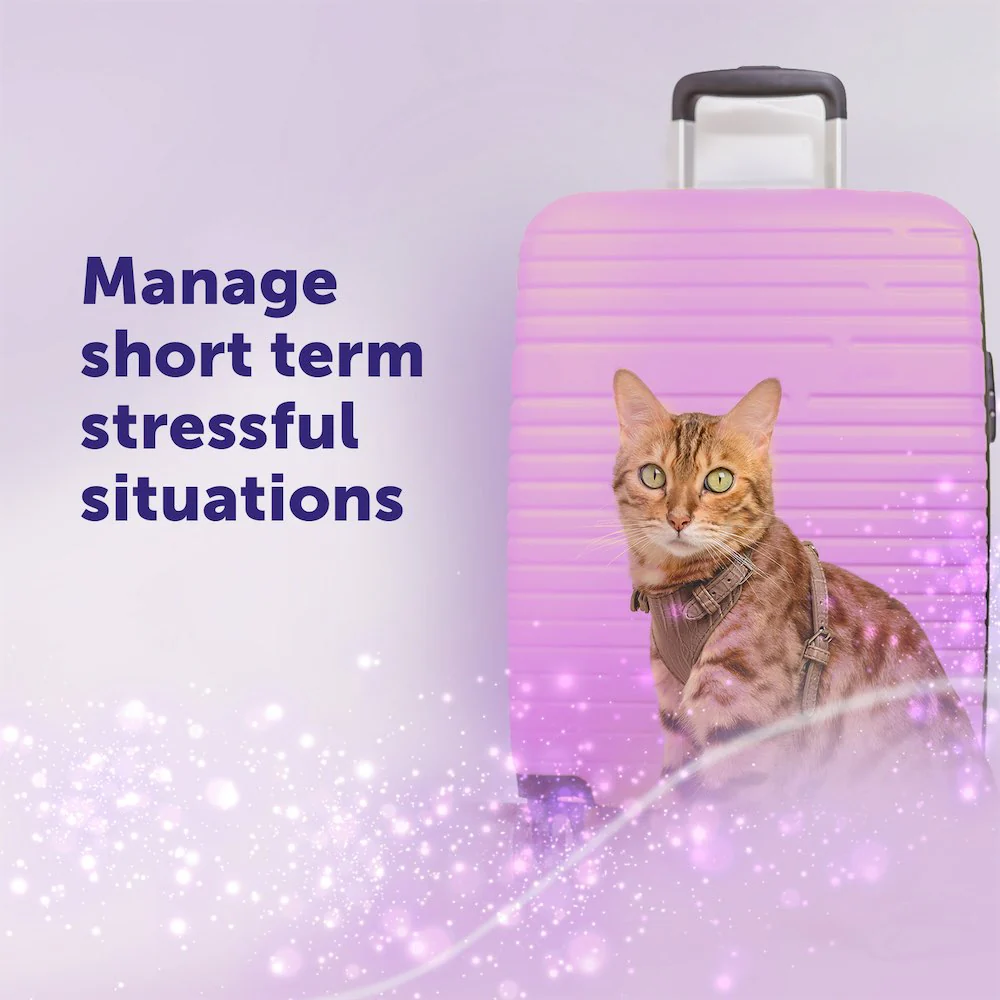 FELIWAY Help! Pack of 3 cartridges - Image 3