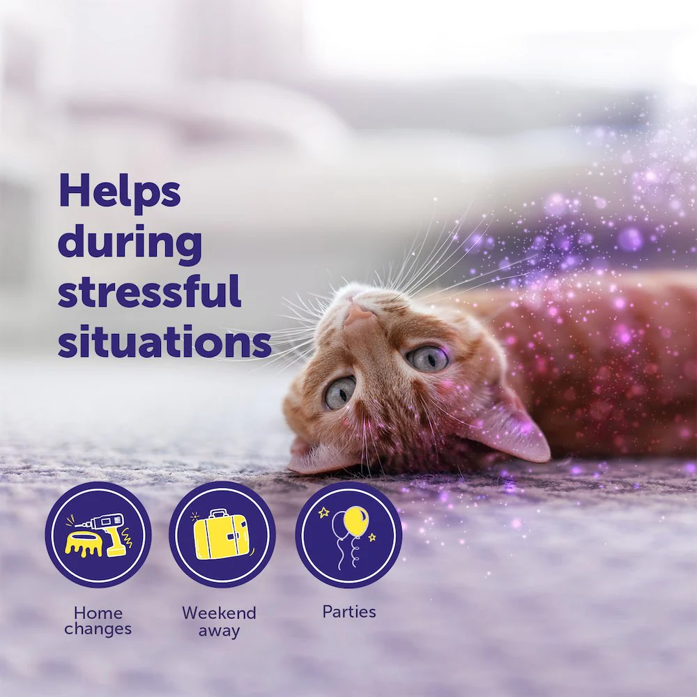 FELIWAY Help! Pack of 3 cartridges - Image 4