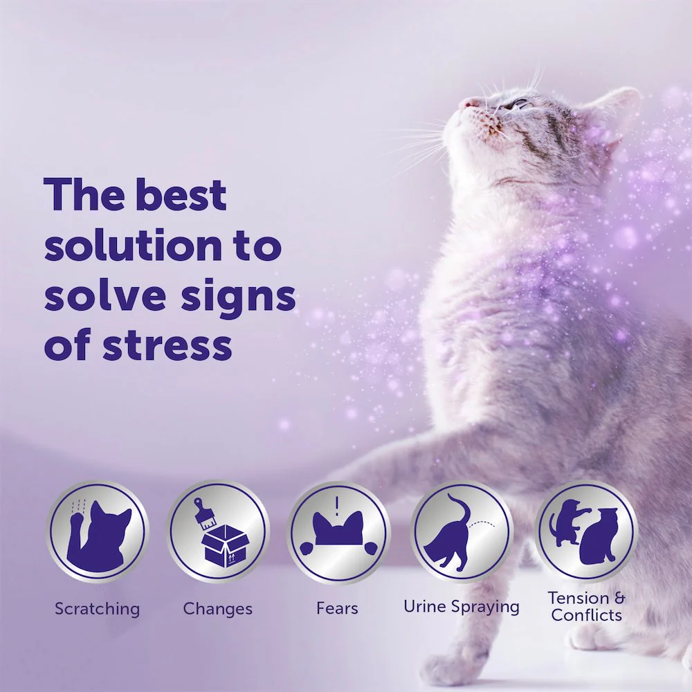 FELIWAY Optimum Refill - Image 12