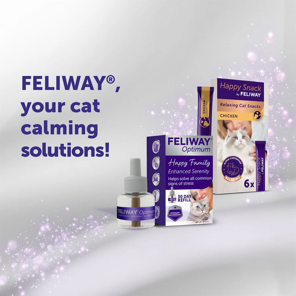 FELIWAY Optimum Refill - Image 8